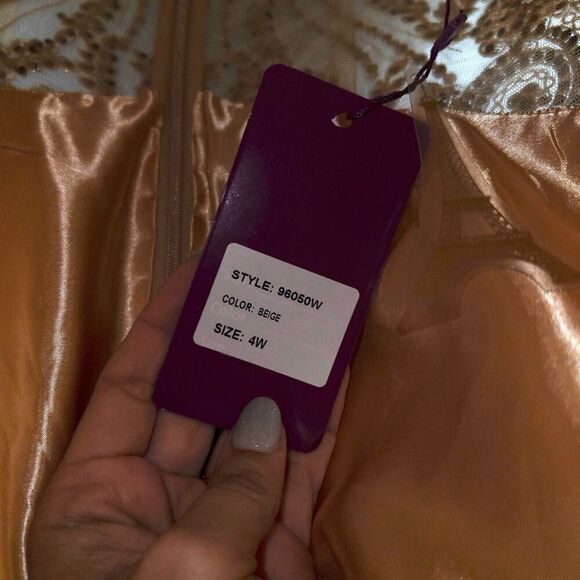 NWT Abby Paris Beige Beaded Scalloped V-Neck‎ Long Evening Gown Size 4W - Picture 9 of 11